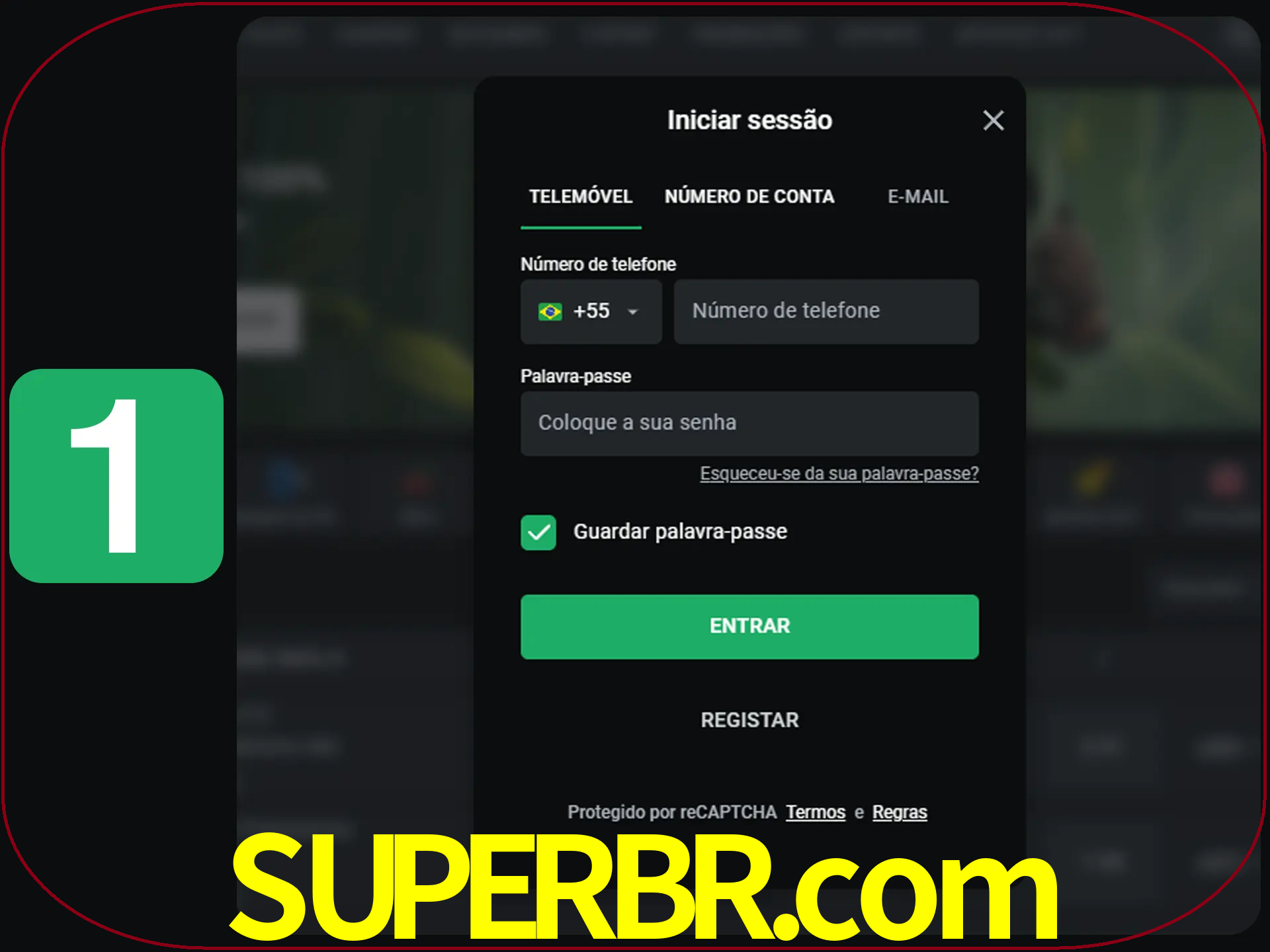 Clique no botão Entrar.